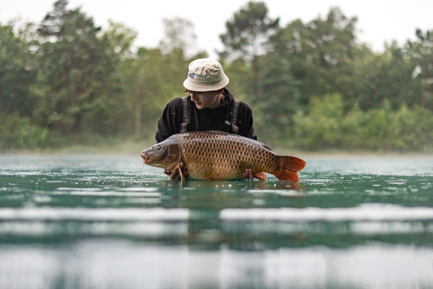 Golden Carp Lake catch