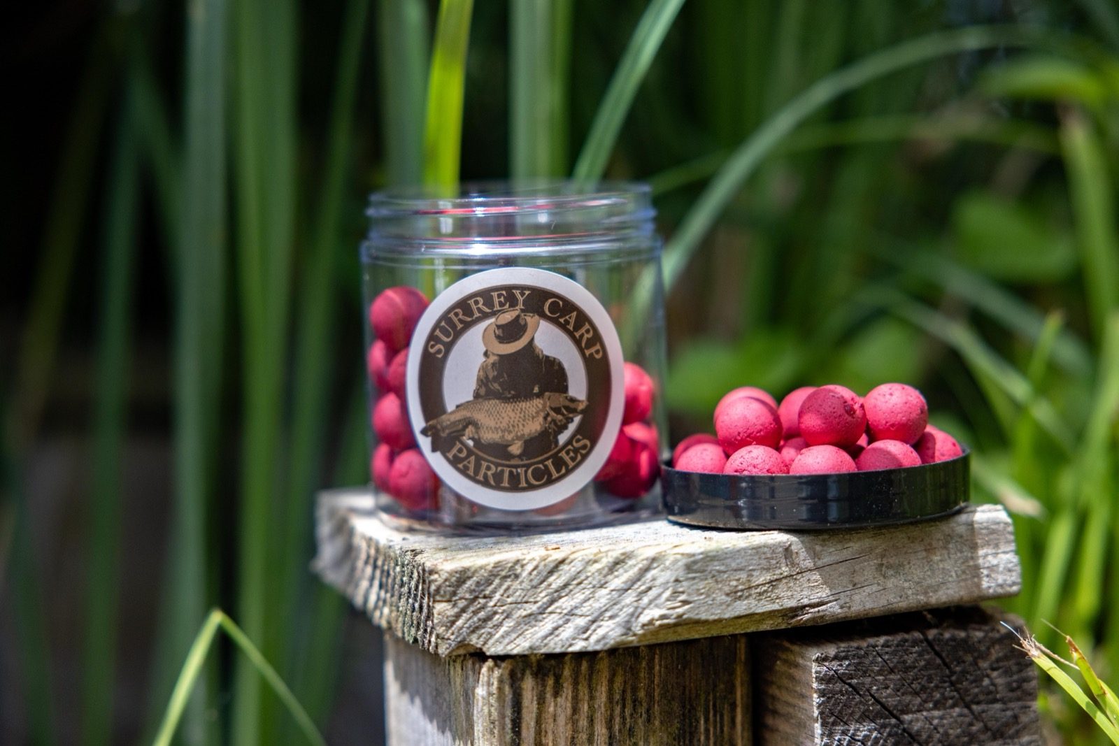 Surrey Carp Particles pop ups