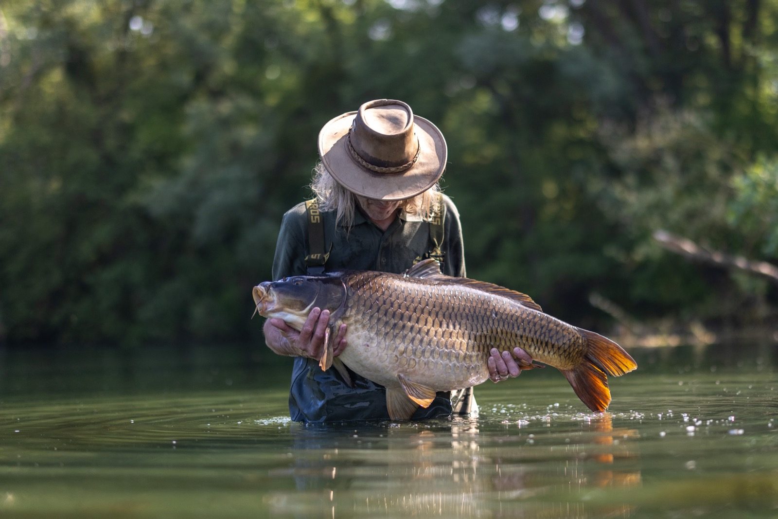 Angler holding a big carp on the mat