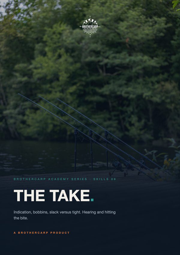 The Take